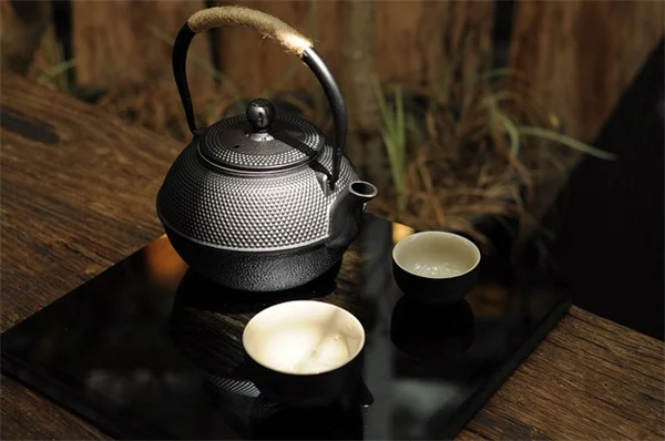 日本玫瑰の手間いらずな育て方！初心者でも簡単なコツと注意点