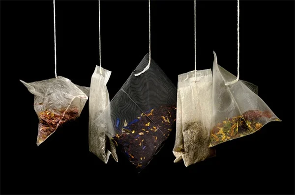 【獣医師監修】うさぎが食べてはいけない危険な植物一覧｜観葉植物・野草