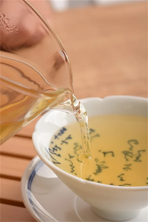 秋菜園が春より圧倒的に良い理由とは？甘さと害虫対策の実体験比較